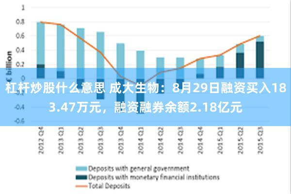 杠杆炒股什么意思 成大生物：8月29日融资买入183.47万