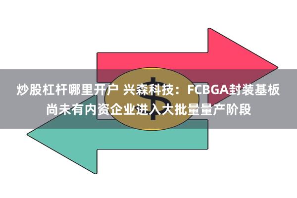 炒股杠杆哪里开户 兴森科技：FCBGA封装基板尚未有内资企业