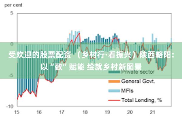 受欢迎的股票配资 （乡村行·看振兴）陕西略阳：以“数”赋能 