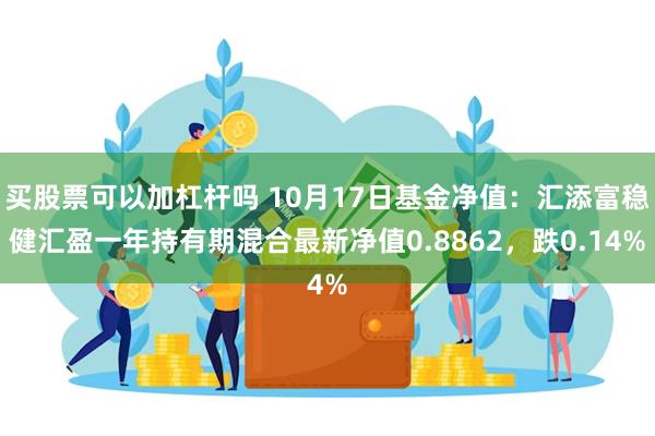 买股票可以加杠杆吗 10月17日基金净值：汇添富稳健汇盈一年