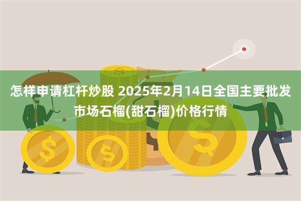 怎样申请杠杆炒股 2025年2月14日全国主要批发市场石榴(