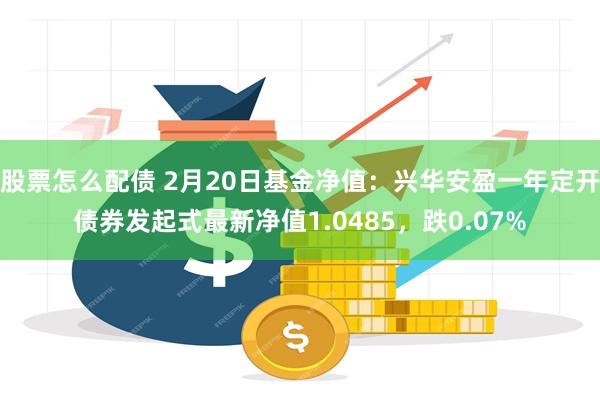 股票怎么配债 2月20日基金净值：兴华安盈一年定开债券发起式