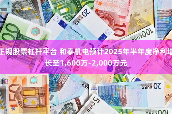 正规股票杠杆平台 和泰机电预计2025年半年度净利增长至1,