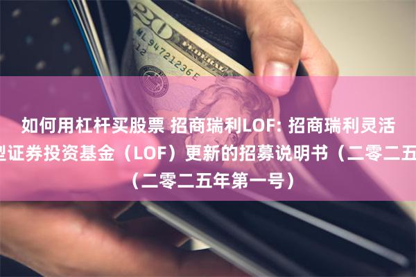 如何用杠杆买股票 招商瑞利LOF: 招商瑞利灵活配置混合型证