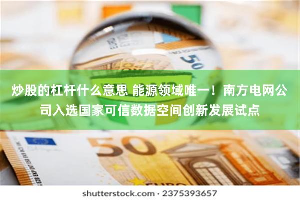 炒股的杠杆什么意思 能源领域唯一！南方电网公司入选国家可信数