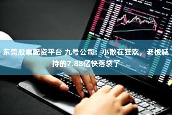 东莞股票配资平台 九号公司：小散在狂欢，老板减持的7.88亿
