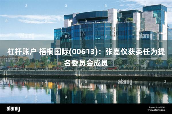 杠杆账户 梧桐国际(00613)：张嘉仪获委任为提名委员会成