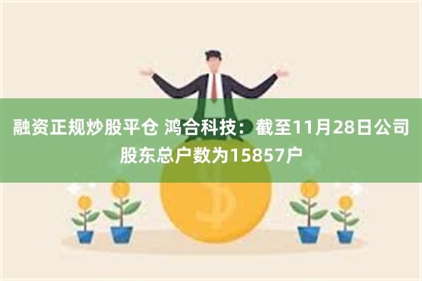 融资正规炒股平仓 鸿合科技：截至11月28日公司股东总户数为